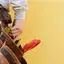 Handyman repair service in Nashua, NH for home fixes and improvements
