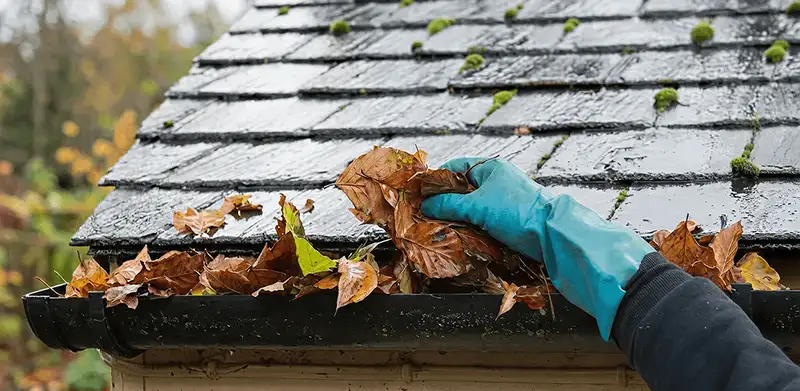 Gutter cleaning technician clearing wet leaves from roof gutters in Nashua, NH